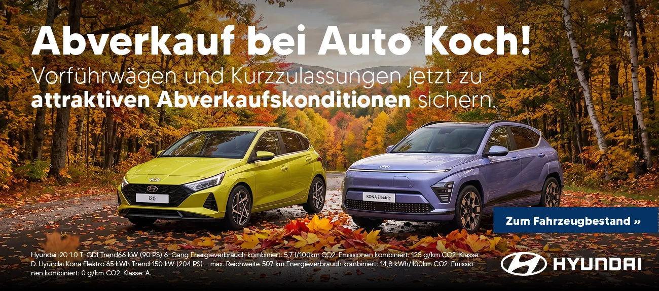 Hyundai Vfw und Kz Aktion