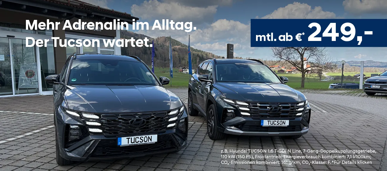 Powerleasing TUCSON N Line