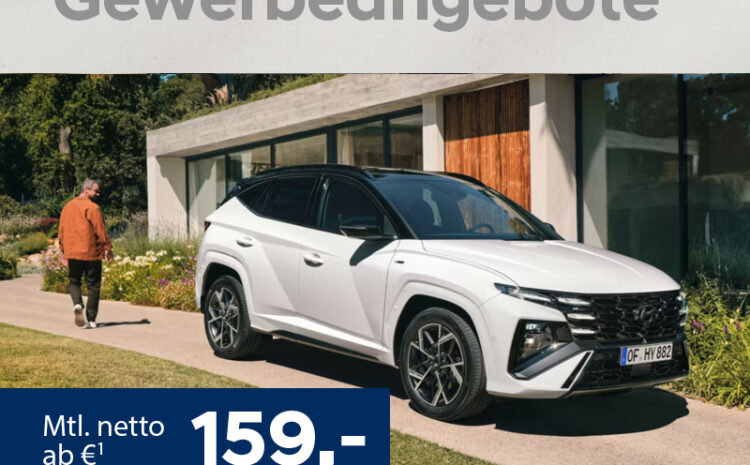  Hyundai Gewerbeangebote