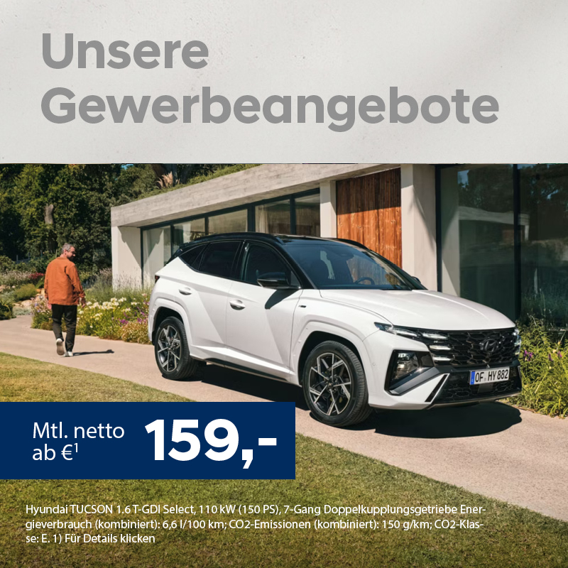 Hyundai Gewerbeangebote