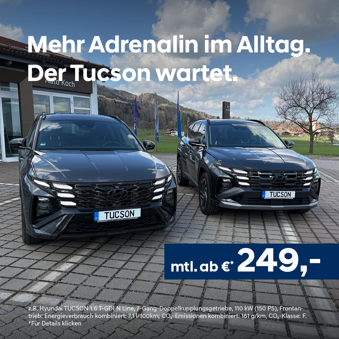 Beitrag-Tucson-N-Line