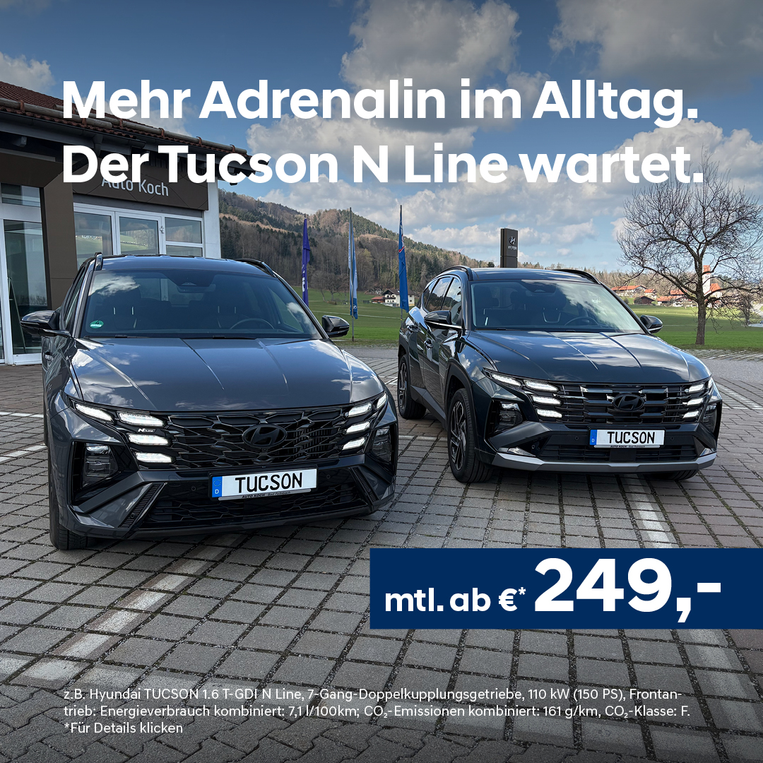 Beitrag-Tucson-N-Line