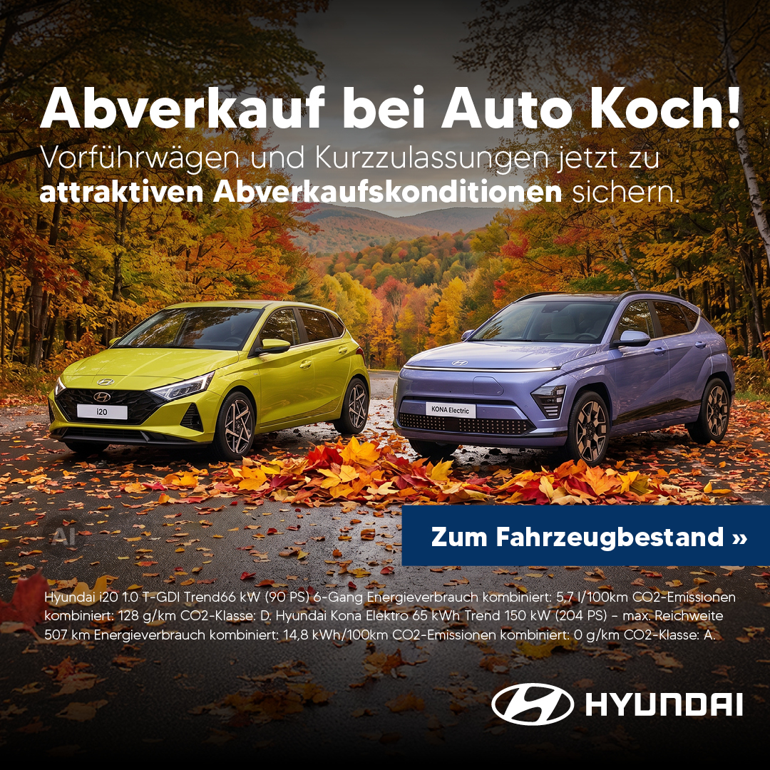 BEITRAGSBILD HYUNDAI ZUGELASSENER BESTAND